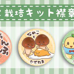 方吉菇菇 なめこ 襟章