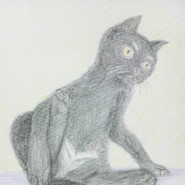 新入り猫ちゃん