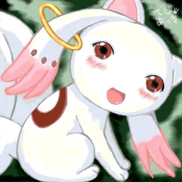 やっぱり、契約してよ♪