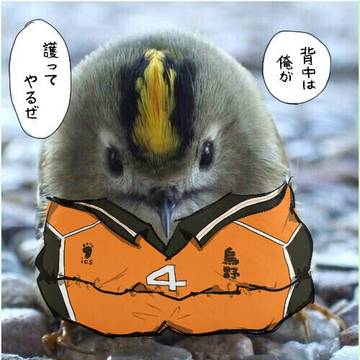のやっさん鳥