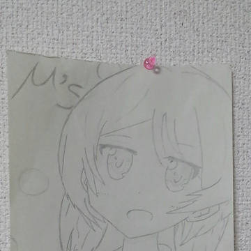 のんたん