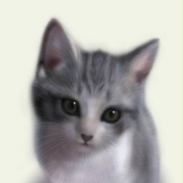 ねこ