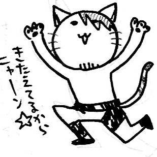 DDTにゃんこ