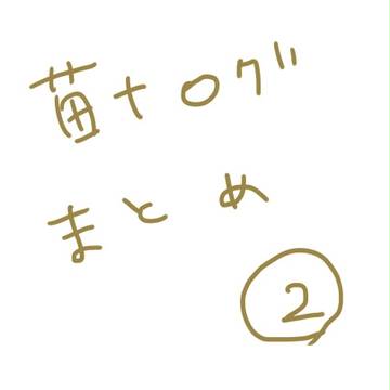 苗十ログ2