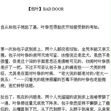 【包叶】BAD DOOR