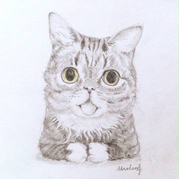 Lil Bub