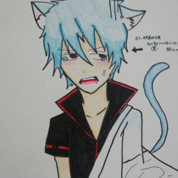 猫銀さん