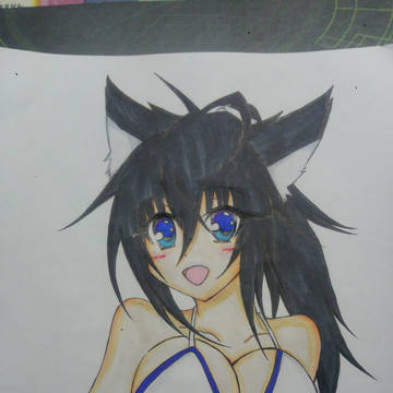 初貼り