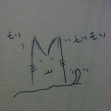 ☆ネコ☆