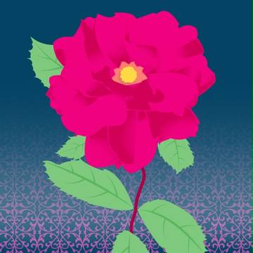 薔薇　２