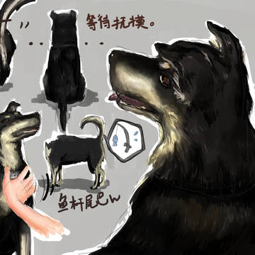 犬