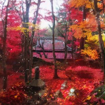 紅葉