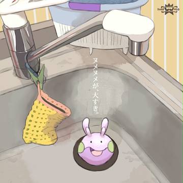 流しの中のヌメラ