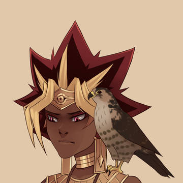 Hawk