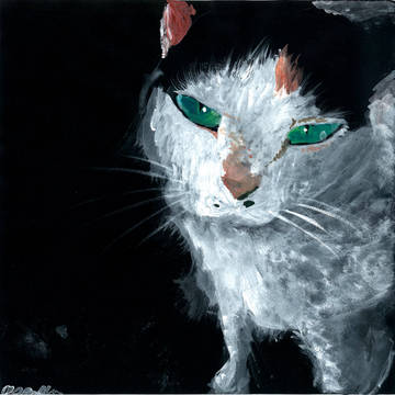 野良猫
