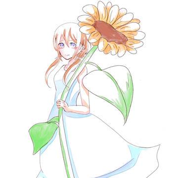 ひまわり