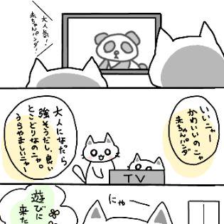 5コマ猫
