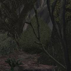 森ステージ入り口フロア