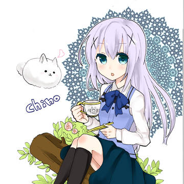 チノちゃん