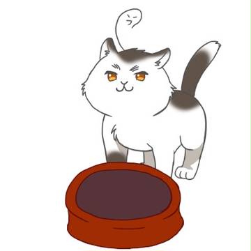 元気なかんこくねこ