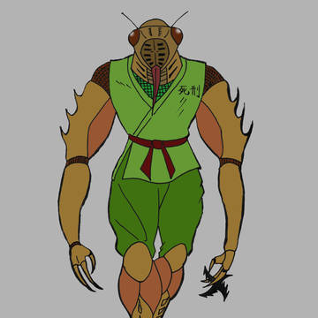 シケイダー