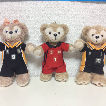 烏野高校&音駒高校ユニフォーム