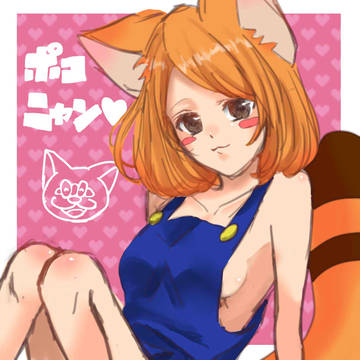 ぽこにゃん。
