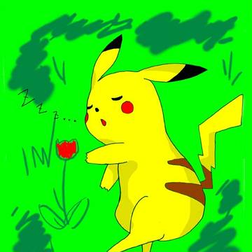 ピカチュウのお昼寝zzz