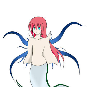初投稿