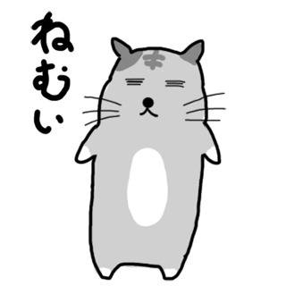 ぼーネコ