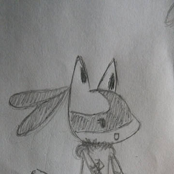 ルーちゃん
