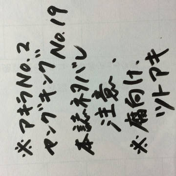 【ツトアキ】ヤンキン19号ぉおおおおお【本誌ネタバレ注意】