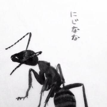 クロヤマアリ兵隊