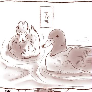 花京院が鳥好きなマンガ ３