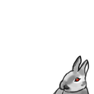 うさぎ