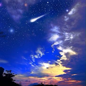 標
