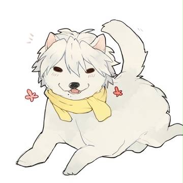 DMMD LOG