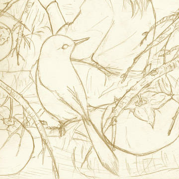 鳥と柿