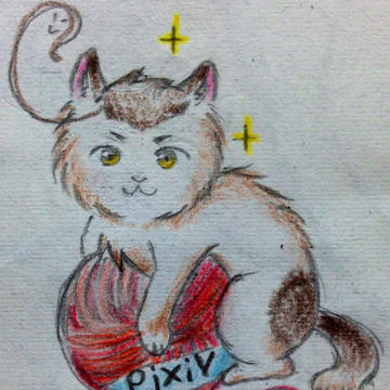 ヨンスねこ