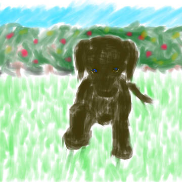 ipadでお絵かき