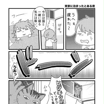 【うちの猫あるある】その８