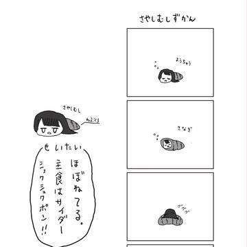 さやしむし