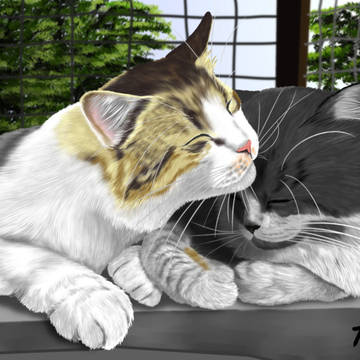 two cats