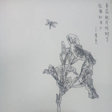 虞美人