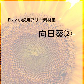 向日葵②