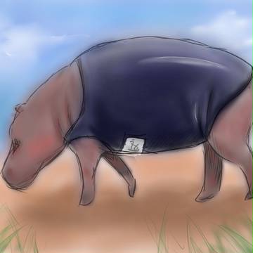 スク水を着たカバ