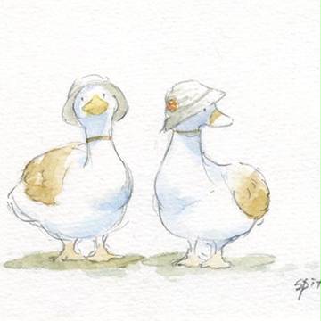 アヒル