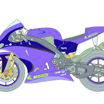 bike color purple