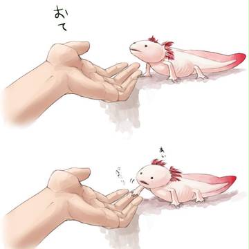 陸生ウーパールーパー