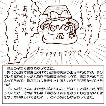 野良子まりさを躾けるよ！